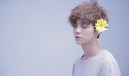 大幂幂爆料鹿晗视频大全,视频大全曝光独家瞬间