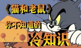 汤姆在线视频在线观看,精彩瞬间，一键重温